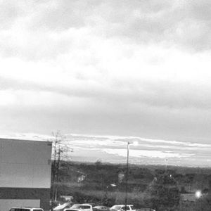 Meet your Posher, Bernice